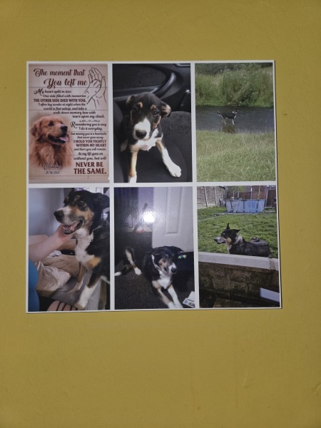 Mounjaro Feb 2025 starters (thread 6!)…