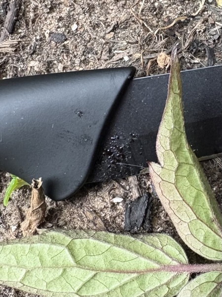 Found a knife in garden