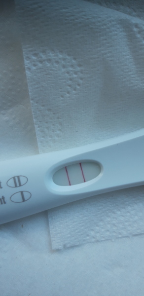 FETs June 2025 ✨✨