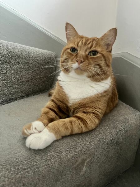 Can I have some good lucks, best wishes and some “please do a wee” for my gorgeous boy?