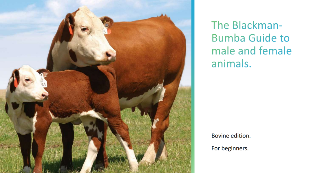 The Blackman-Bumba Guide...