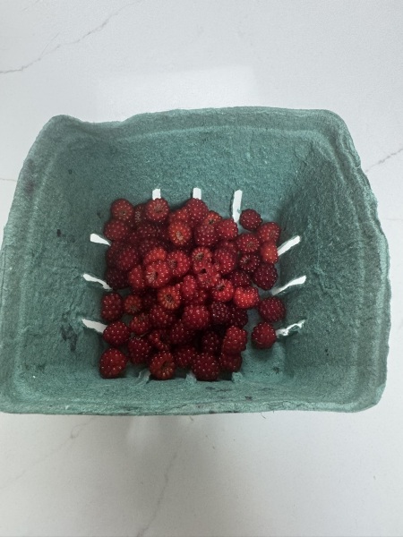 Come and tell us your dull and unexciting news 34: Calmly through the day