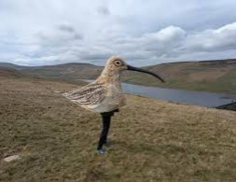 To do something at work I've already been bollocked for and received a warning for twice?