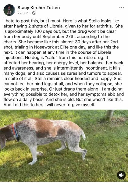Dog collapsing