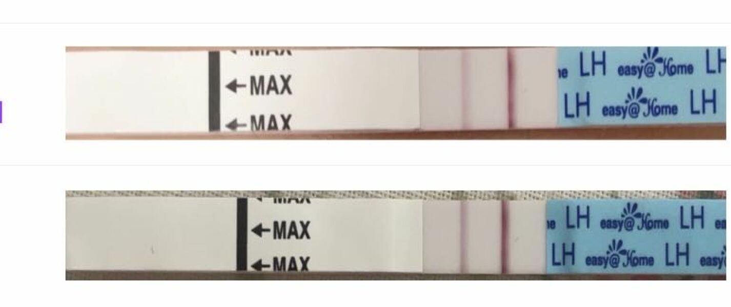 June/July TTC Thread❤️