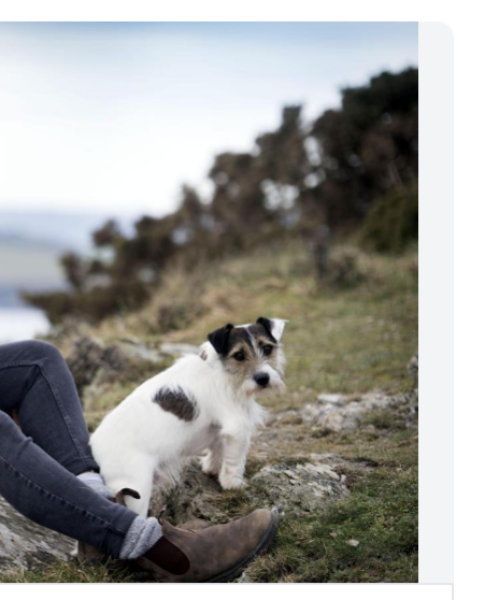 To feel disappointed after reading this in The Observer about the author and her husband from The Salt Path book and film?