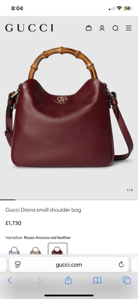 I have £2k for a beautiful bag - which one, though?