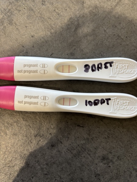 FETs June 2025 ✨✨