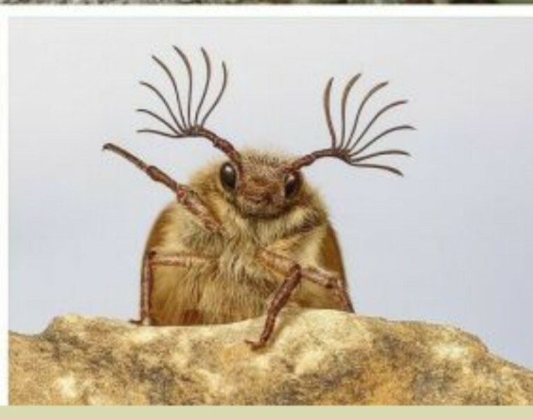 The Bluestocking - holding the line and losing the thread