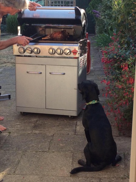 Do You Enjoy BBQs?