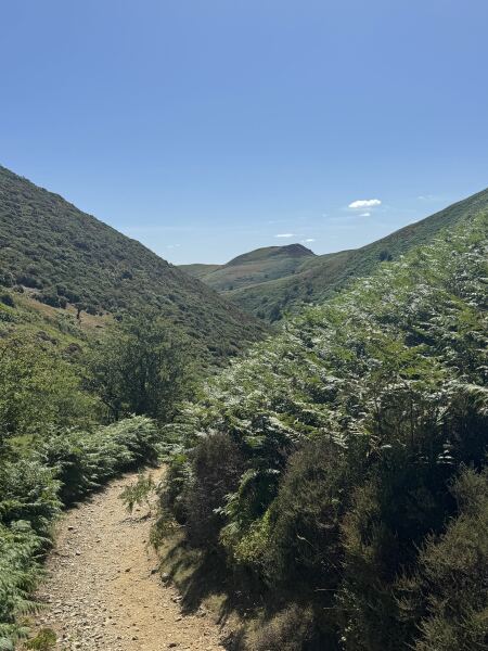 Come chat hiking with me!