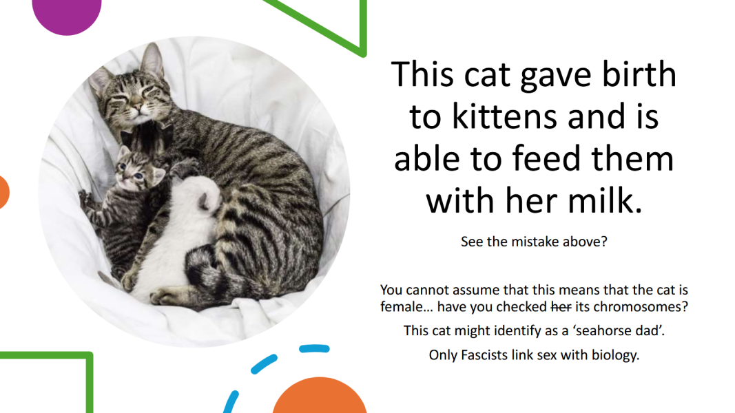 The Blackman-Bumba Guide...