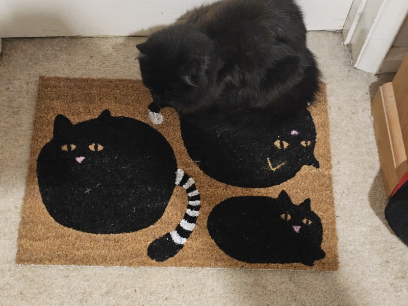 The One after the One where the Excellent Cats posed for a calendar