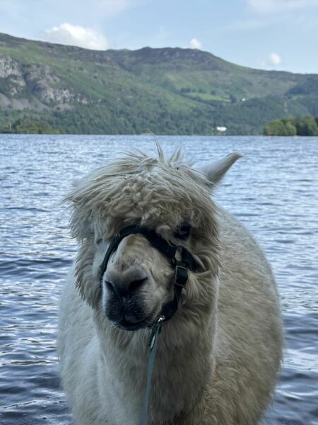 Lake District with teenagers