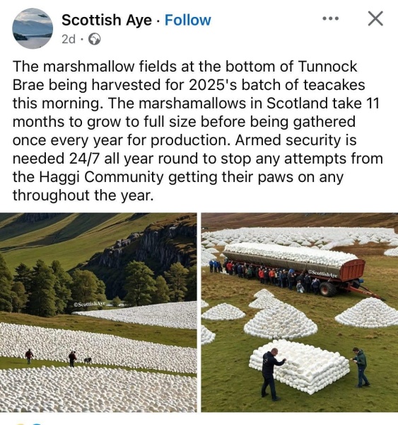 NHS Fife tries to silence nurse - Sandie Peggie vs NHS Fife Health Board and Dr Beth Upton - thread #35