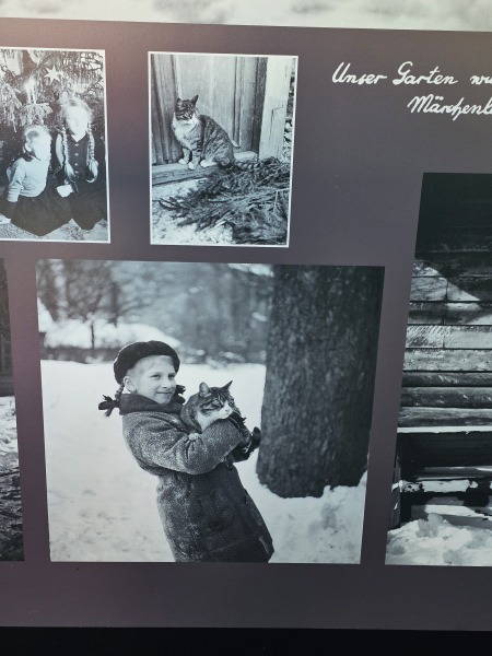 The One after the One where the Excellent Cats posed for a calendar