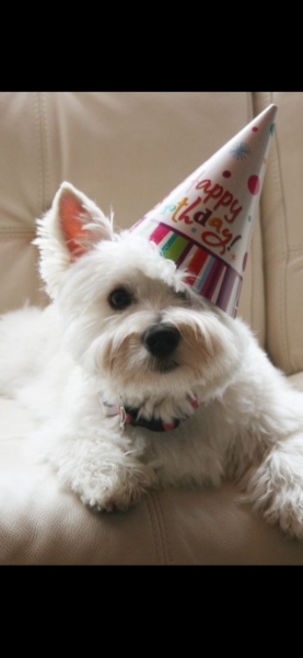 HAPPY BIRTHDAY JK ROWLING!