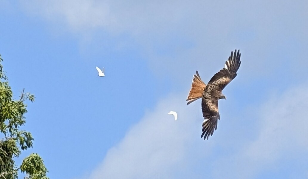 Thread 6: To feel disappointed after reading this in The Observer about the author and her husband from The Salt Path book and film?