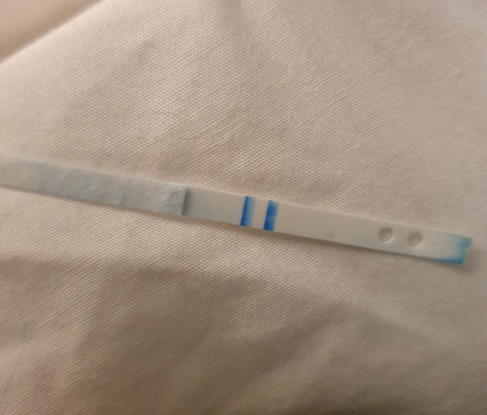 IVF babies due 2026?