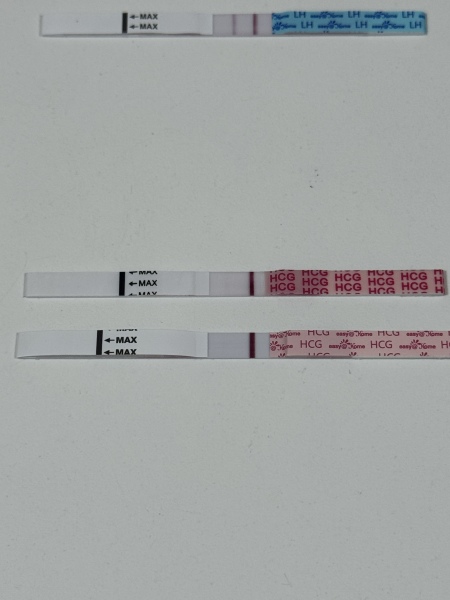 Something on both tests?