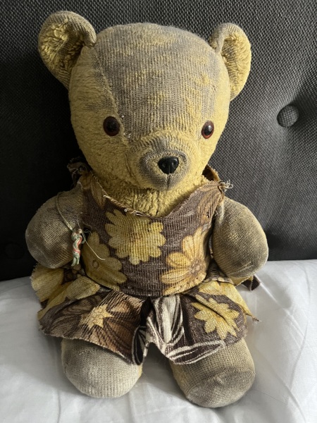 Do Teddies have kids who struggle academically?