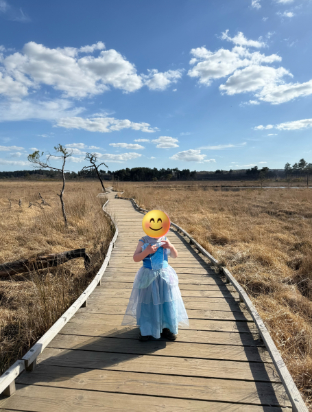 Do you let your little boy wear dresses?