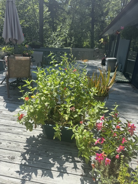 Come and tell us your dull and unexciting news 34: Calmly through the day