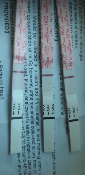 FETs June 2025 ✨✨