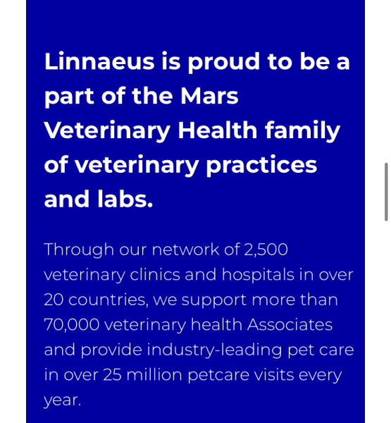 Allison Bailey. She's done it again.