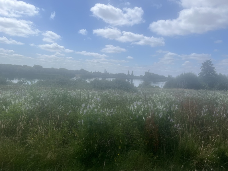 Does anybody like London