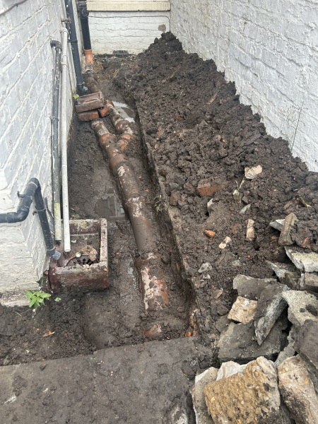 Going insane with ongoing Plumbing/Drains Blockages/SpecialNeeds