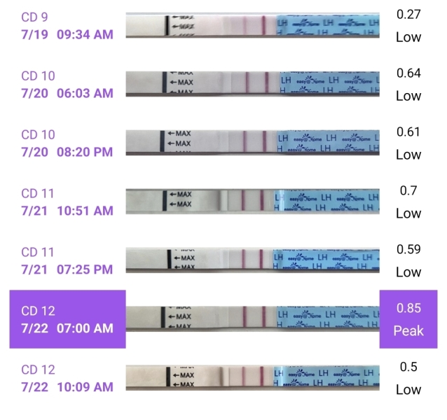 In the dreaded 2 week wait