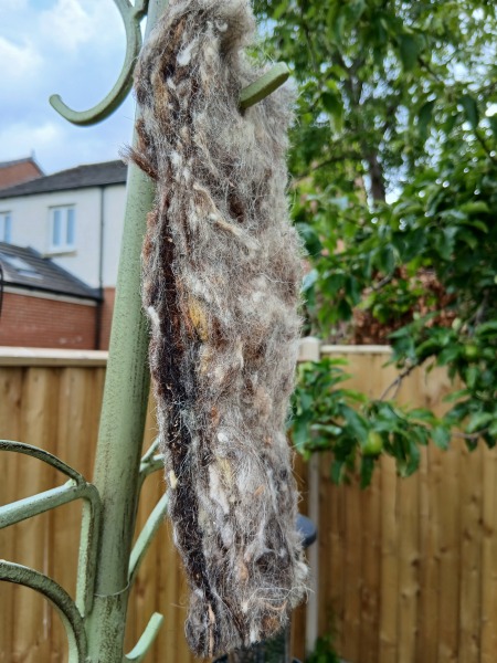 Mounjaro/Wegovy with > 5 stone/30kg to lose - thread 9!