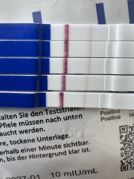 Please tell me these are lines!?