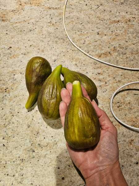 January 2025 Starters - Thread 10 - Onward & Downward Losers!