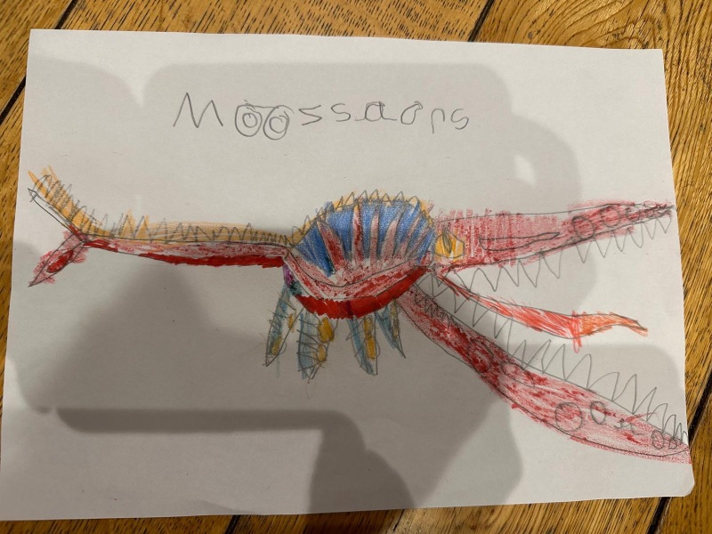 How old is the child that drew this picture?