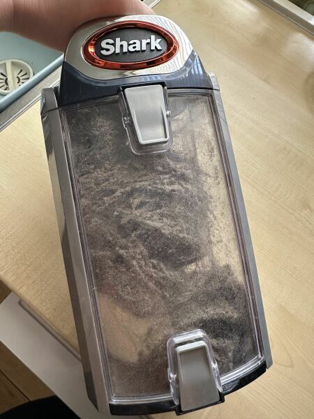 Adolescent Dog Survival Thread - welcome to the teenage wasteland