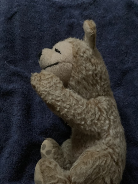 Do Teddies have kids who struggle academically?