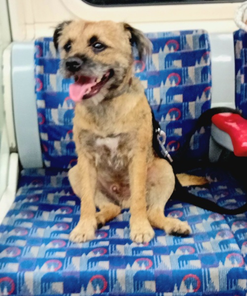 The One after the One where the Excellent Cats posed for a calendar