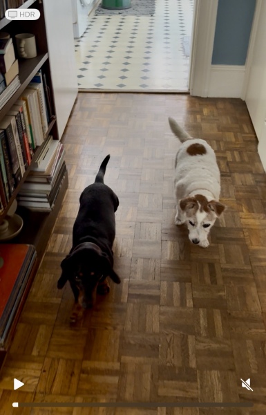 Help settle out difference of opinion on parquet floor