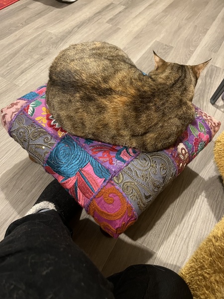 The One after the One where the Excellent Cats posed for a calendar