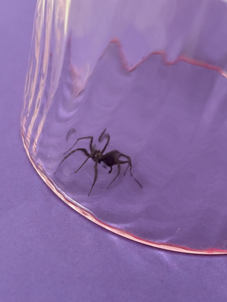 Come and tell us your dull and unexciting news 34: Calmly through the day