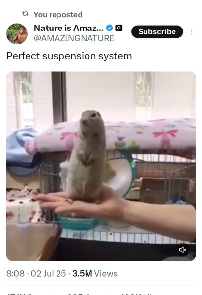 The Bluestocking - Invoking Split Pea Annexe B