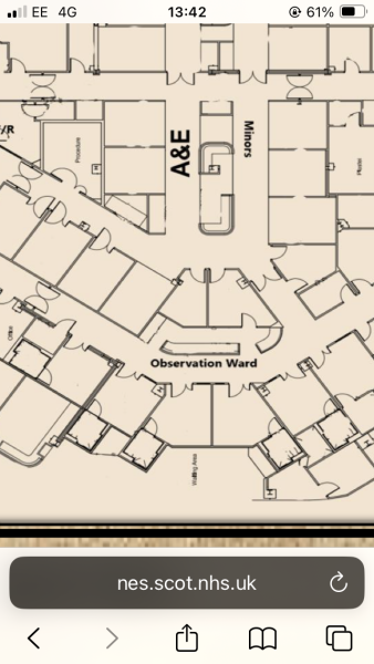 NHS Fife tries to silence nurse - Sandie Peggie vs NHS Fife Health Board and Dr Beth Upton - thread #33