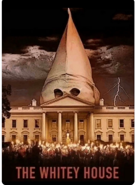 Trumplethinskin wants his Situation Room photo because it most definitely rained on his parade - Trump thread #145