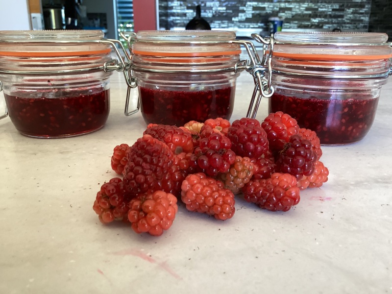 NHS Fife tries to silence nurse - Sandie Peggie vs NHS Fife Health Board and Dr Beth Upton - thread #43