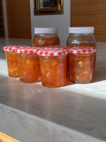 NHS Fife tries to silence nurse - Sandie Peggie vs NHS Fife Health Board and Dr Beth Upton - thread #43