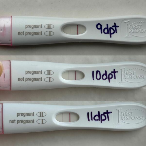 FETs June 2025 ✨✨