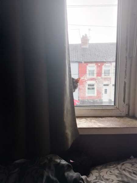 The One after the One where the Excellent Cats posed for a calendar