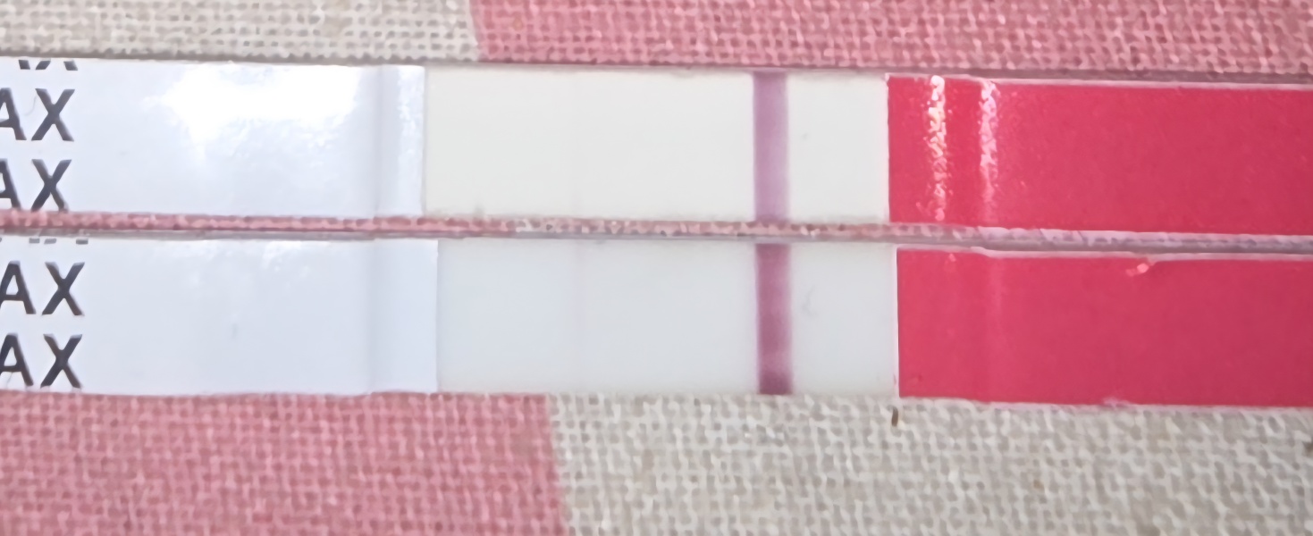 Are these lines